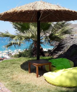 Damnoni Beach_Moysidis Travel