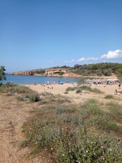 IMG_20230523_172652