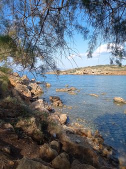 IMG_20230523_173432