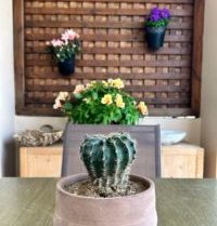 About Relax Crete Villas